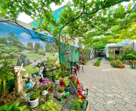 Анапа Гостевой дом  Гавриш ( Новороссийская )