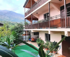 Гагра, гостевой дом Южная Ночь