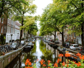 Брауншвейг -Амстердам - Руан - Онфлер*-Трувиль*-Мон-Сен-Мишель*-Брюссель-Брюгге*-Кельн   Стоимость: 395 евро* + 150 рублей