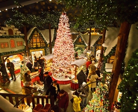 28.12..2025 Парк Бастай - Бамберг - Мюнхен - замок Нойшванштайн - Цюрих - Кольмар - Рибовилле - Страсбург - Баден - Баден - Роттенбург - на -Таубере