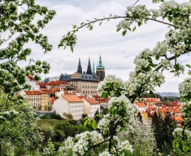 Варшава-Дрезден-Прага для туристов с визами