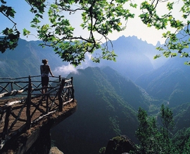 Гудаута База отдыха «Мия» Автобус