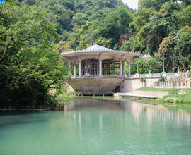 Гранд-тур в Абхазию отдых на море с экскурсиями!(«Калипсо»)