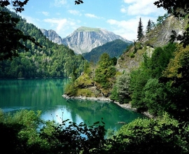 Гудаута Гостевой дом Юлия. Автобус