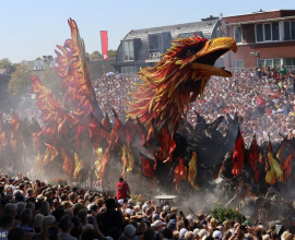 Вернигероде – Динан – Намюр – Лилль – Брюгге* – Corso Zundert (Парад Георгин) – Кельн 675 евро + 100 рублей