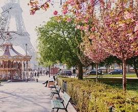 Минск - Брауншвейг - Амстердам - Антверпен - Париж (3 дня) -Нормандия (Руан – Онфлер – Довиль - Трувиль) - Монмартр - Люксембург - Трир - Легница - Минск 475 €  +  Экскурсионно-транспортный пакет: 210 евро 9  дней