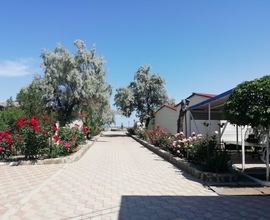 7 ночей  «Антей » База отдыха.  Первая линия. Своё кафе.