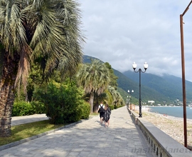 Гагра Отель «Гранд» Новый отель! Все номера с кухней. Автобус + ЖД