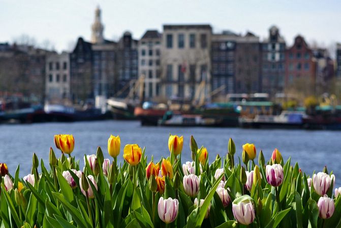 Кведлинбург - Эдам + Волендам - Амстердам - парк цветов Кекенхофф/Лейден - Брюгге - Этрета - Париж (2 дня) - Кельн