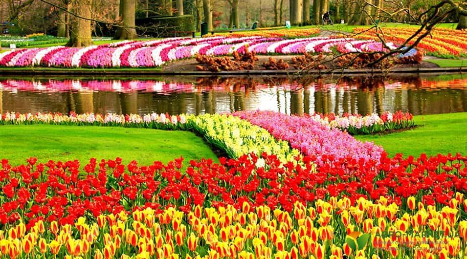 Минск - Берлин - Люксембург* - Париж - Амстердам* - Копенгаген* - Стокгольм - Турку - Хельсинки* - Таллин - Минск 770 евро +350 рублей Визовая поддержка