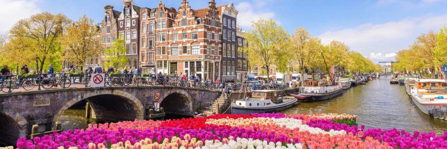 Потсдам – Дворец Шарлоттенбург* - Амстердам* - Брюссель - Кельн - Кобленц – Долина Рейна- Рюдесхайм - Франкфурт на Майне.Для туристов с визами